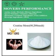 Best Seller Sports Nutrition Creatine Monohydrate